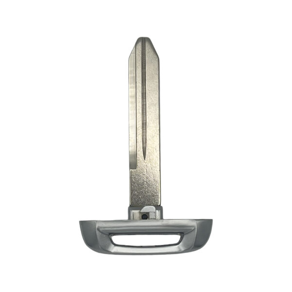 Notschlüssel Dodge RAM 2019-