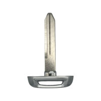 Notschlüssel Dodge RAM 2019-