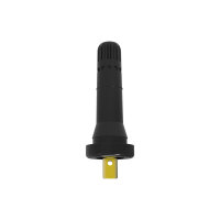 Reifendrucksensor Schwarz, Gummi